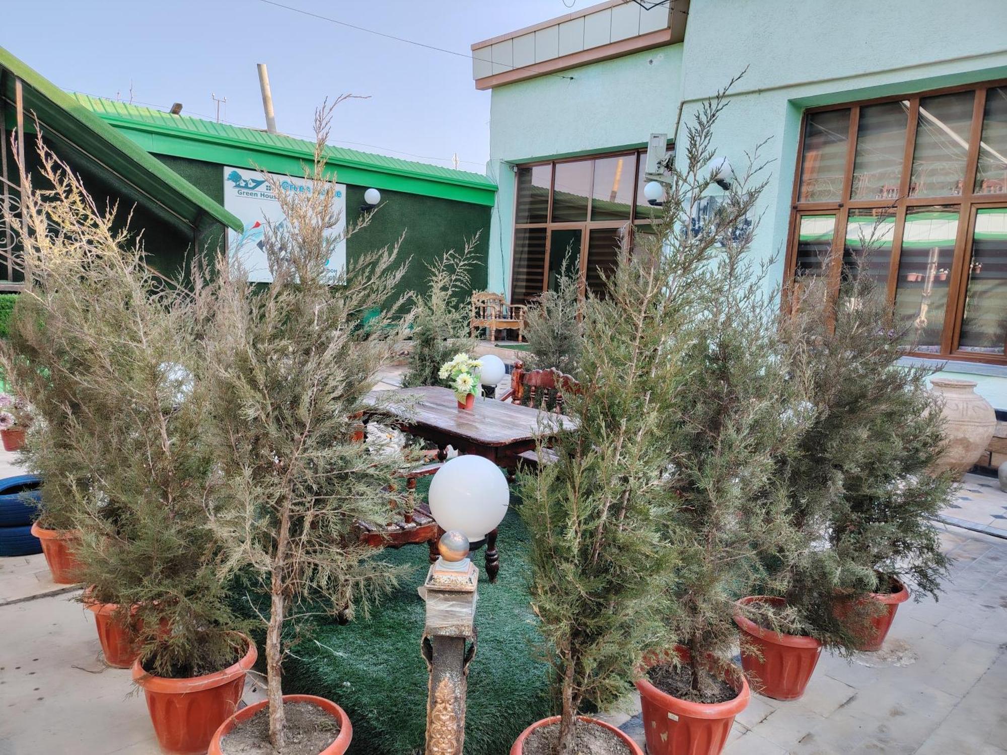 Green House Hotel & Hostel Bukhara Exterior photo